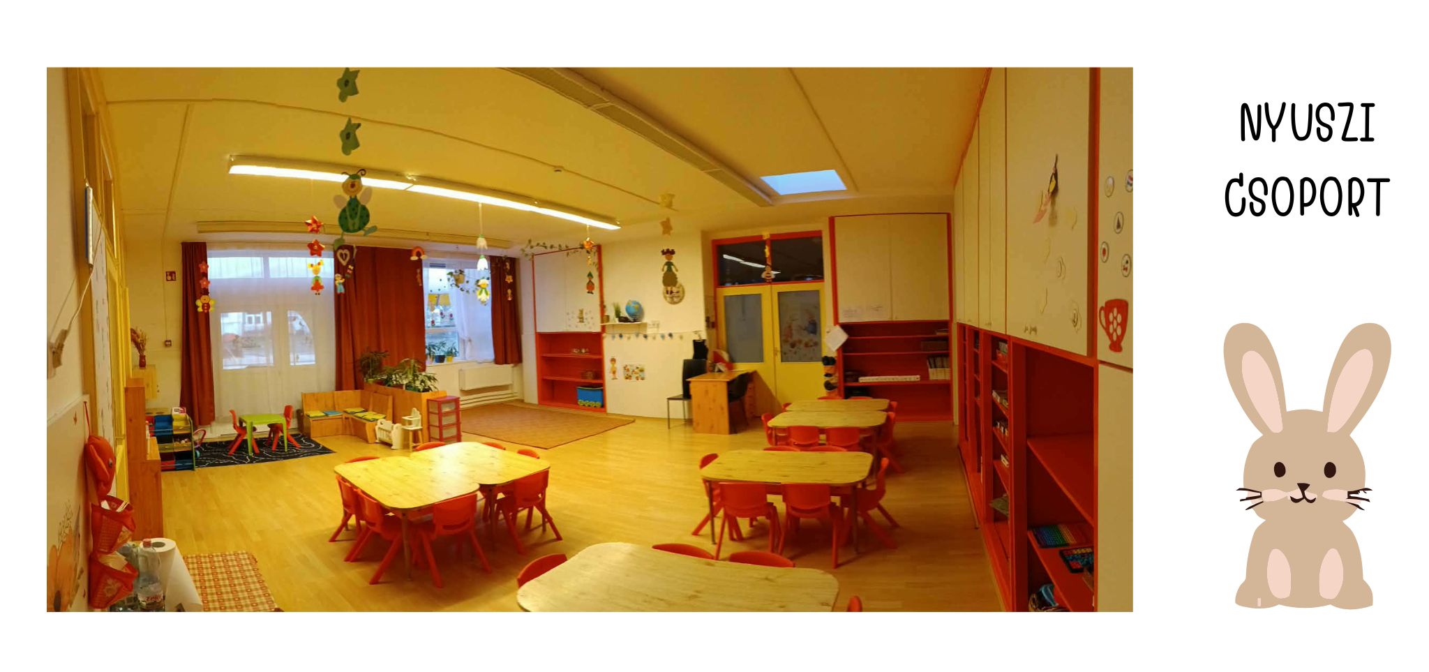 NYUSZI CSOPORT